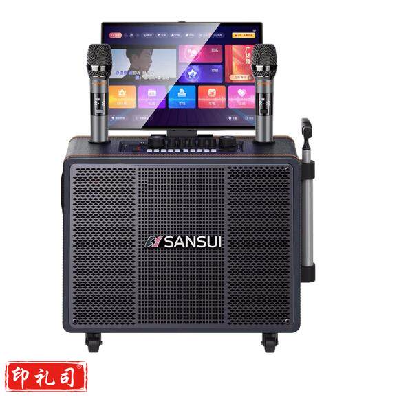 山水(SANSUI) PE105便携户外广场舞拉杆音响  17吋屏+PE105三分频+500G