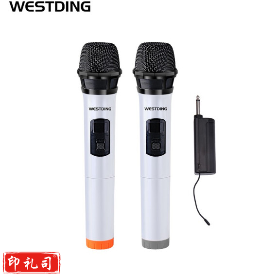 威斯汀  家用卡拉OK无线话筒一拖二专业U段防啸叫麦克风 K10