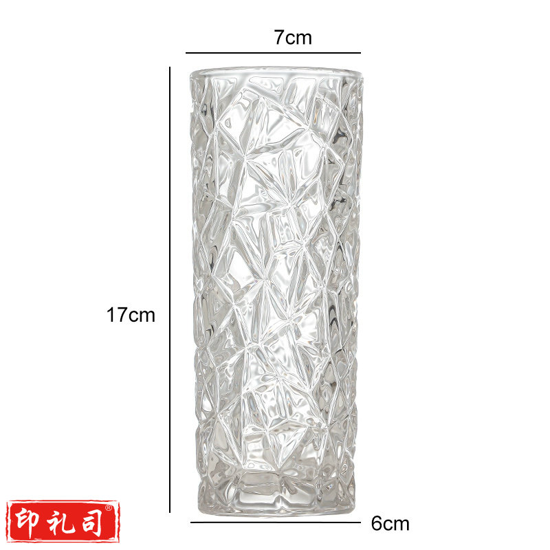 轻奢玻璃花瓶透明水培鲜花富贵竹ins风插花器皿客厅桌面装饰摆饰