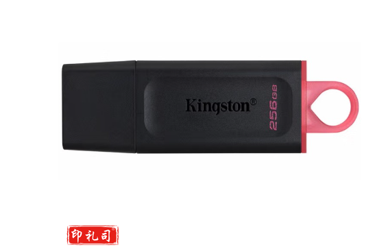 金士顿（Kingston） u盘 USB3.2 Gen 1 DTX高速车载闪存优盘 DTX-256GB(银白色）